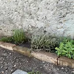 Casa Al Bruacu - Locazioni Brevi * Piverone