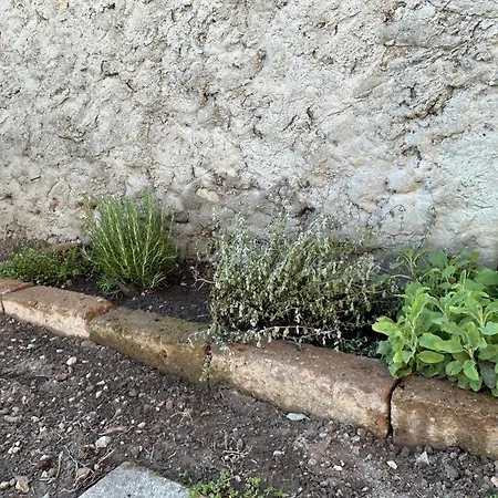 Casa Al Bruacu - Locazioni Brevi Holiday home *