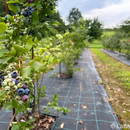 Casa Al Bruacu - Locazioni Brevi * Piverone
