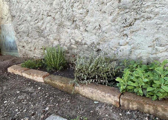 Casa Al Bruacu - Locazioni Brevi بيت للعطل *