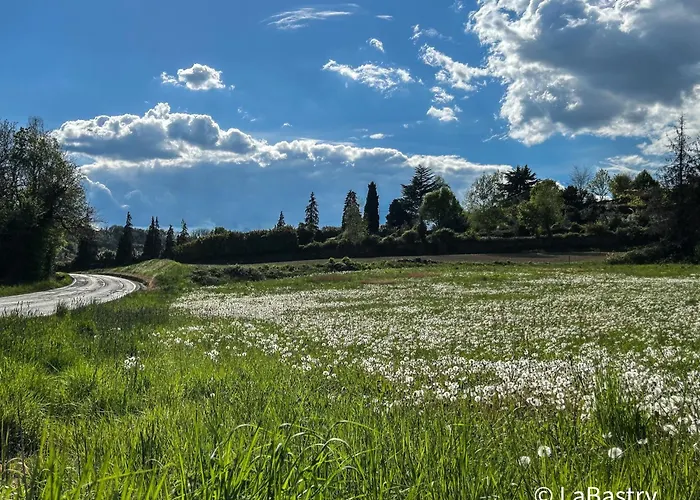 Casa Al Bruacu - Locazioni Brevi